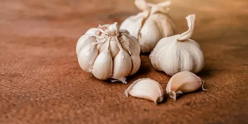 سیر خراسان ملایم با تندی ملایم و طعمی عالی